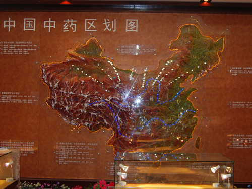 中國(guó)中藥區(qū)地形圖模型