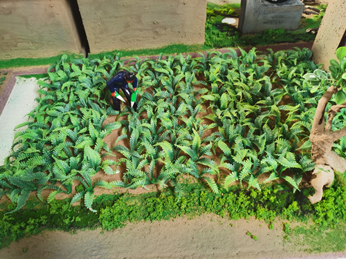 蘿卜種植沙盤模型
